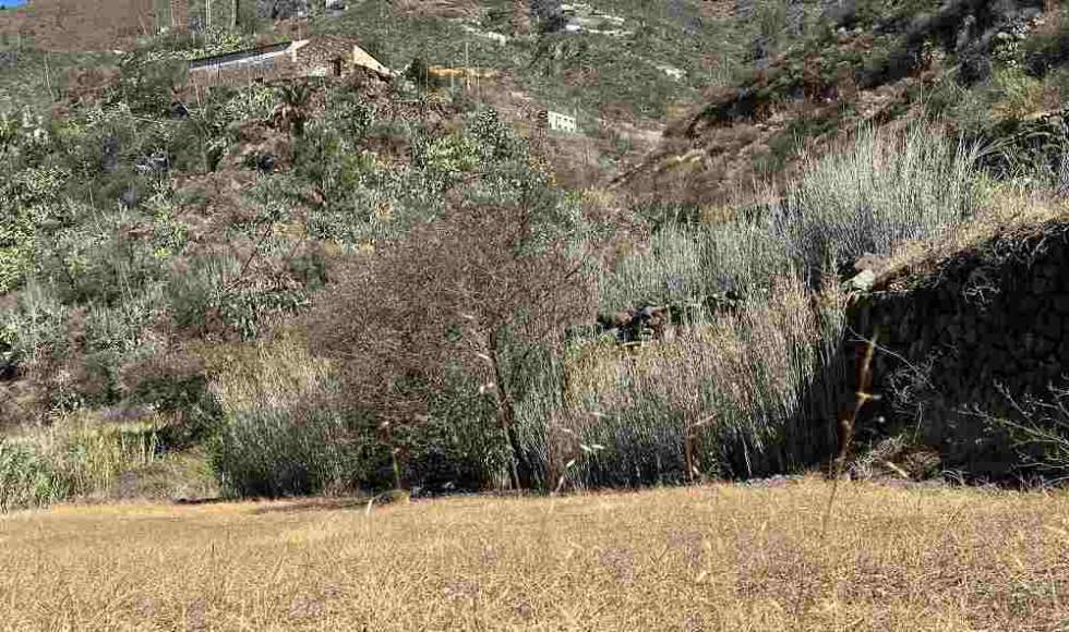 Terrenos sin cultivar en el entorno del Parque Rural del Nublo