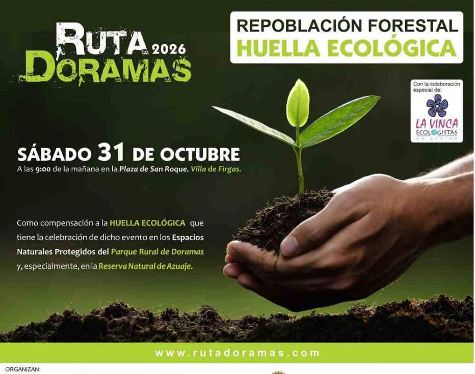 Cartel de la actividad