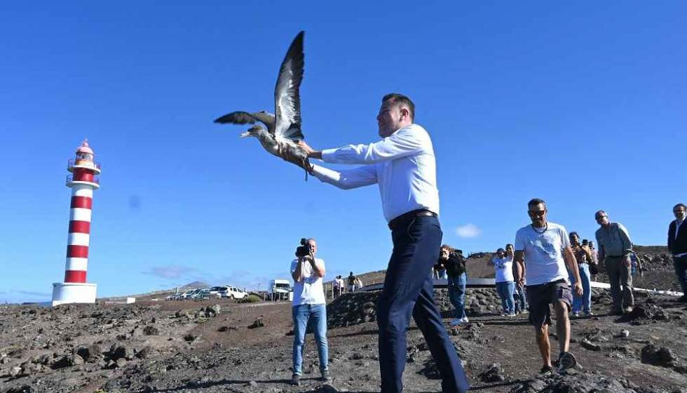 Teodoro Sosa, alcalde de Gáldar, en la suelta de pardelas en El Faro de Sardina