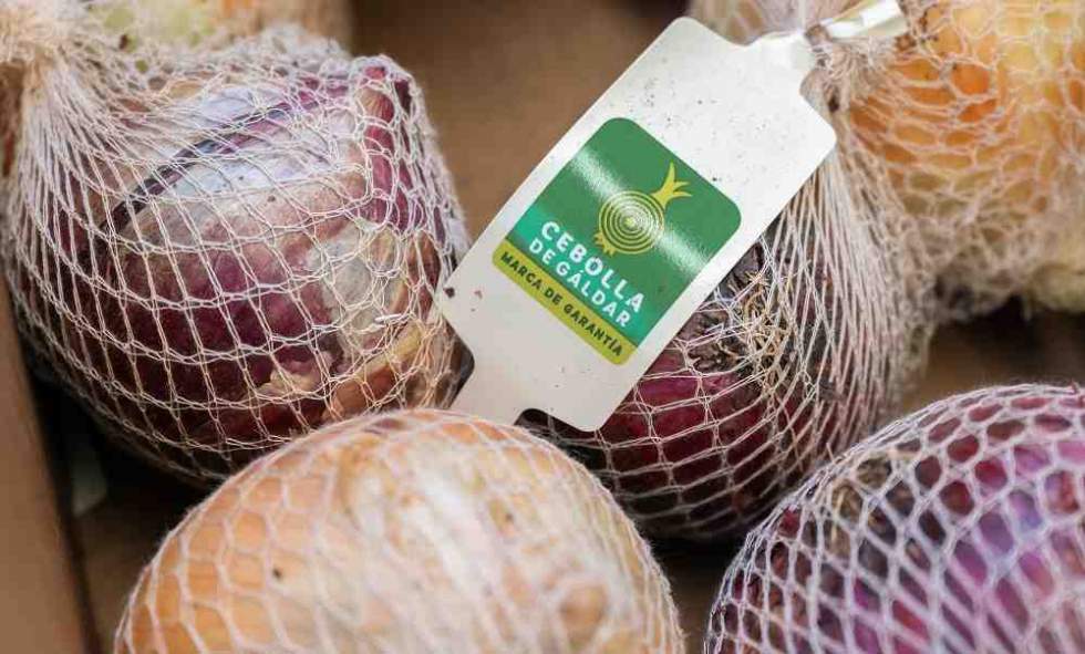 Cebolla de Gáldar