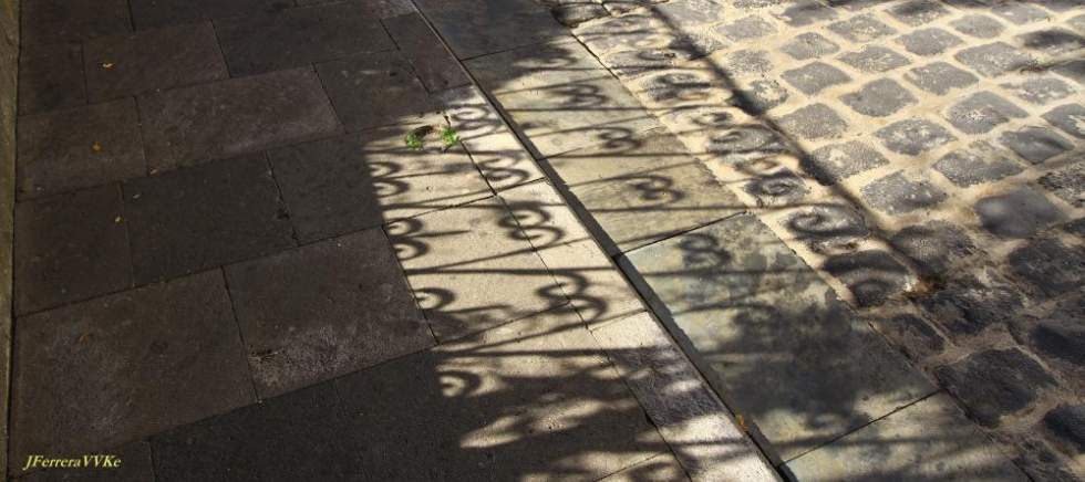 LA BRISA DE LA BAHÍA (255). Vanidades y libro dedicado