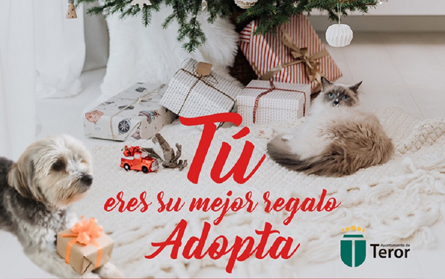 Cartel de la campa&ntilde;a