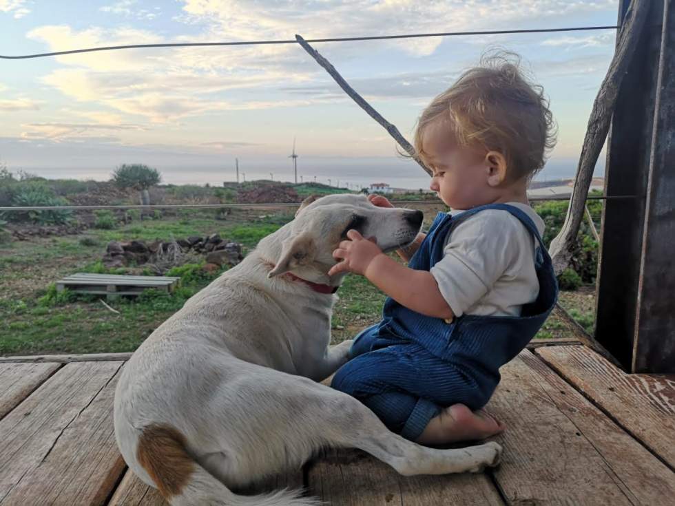 Matilda y Espumita. Imagen:&nbsp;Ernesto M. Saavedra