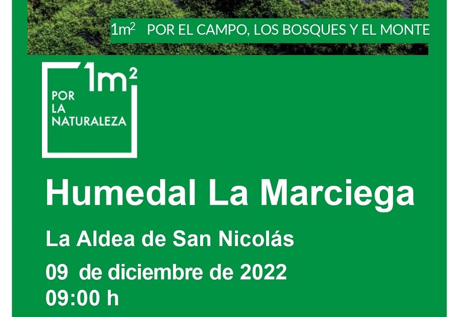 Cartel de la acci&oacute;n