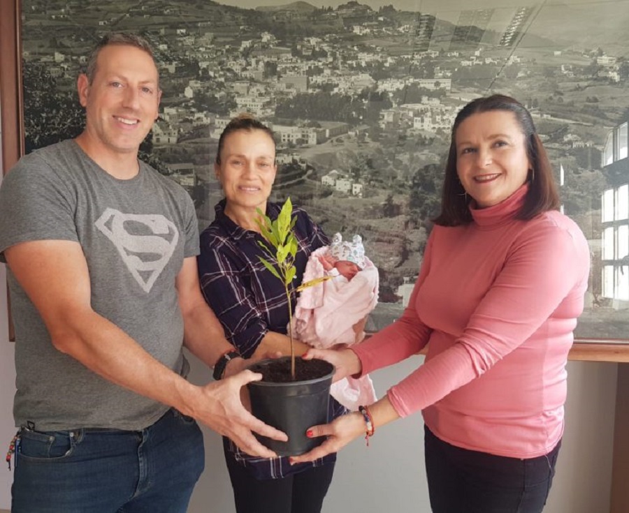 El &aacute;rbol de tu vida