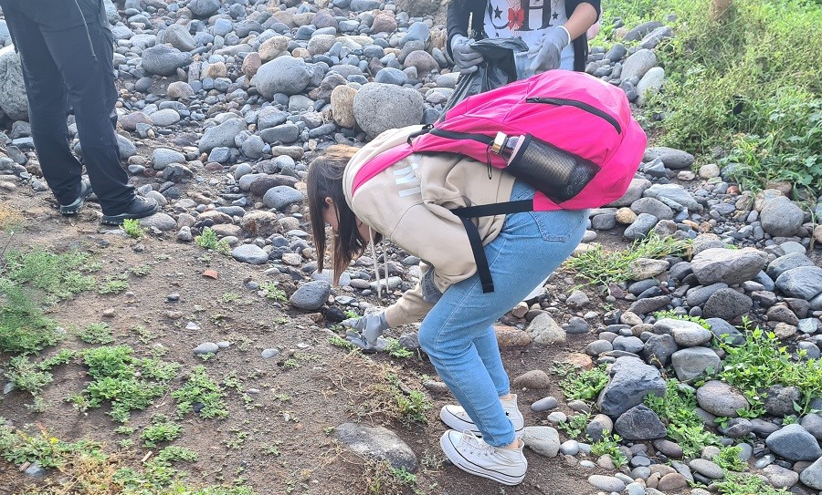 Limpieza del humedal