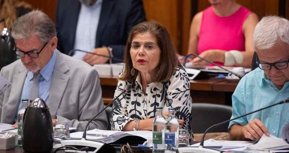 La consejera Inés Miranda en una sesión plenaria del Cabildo.