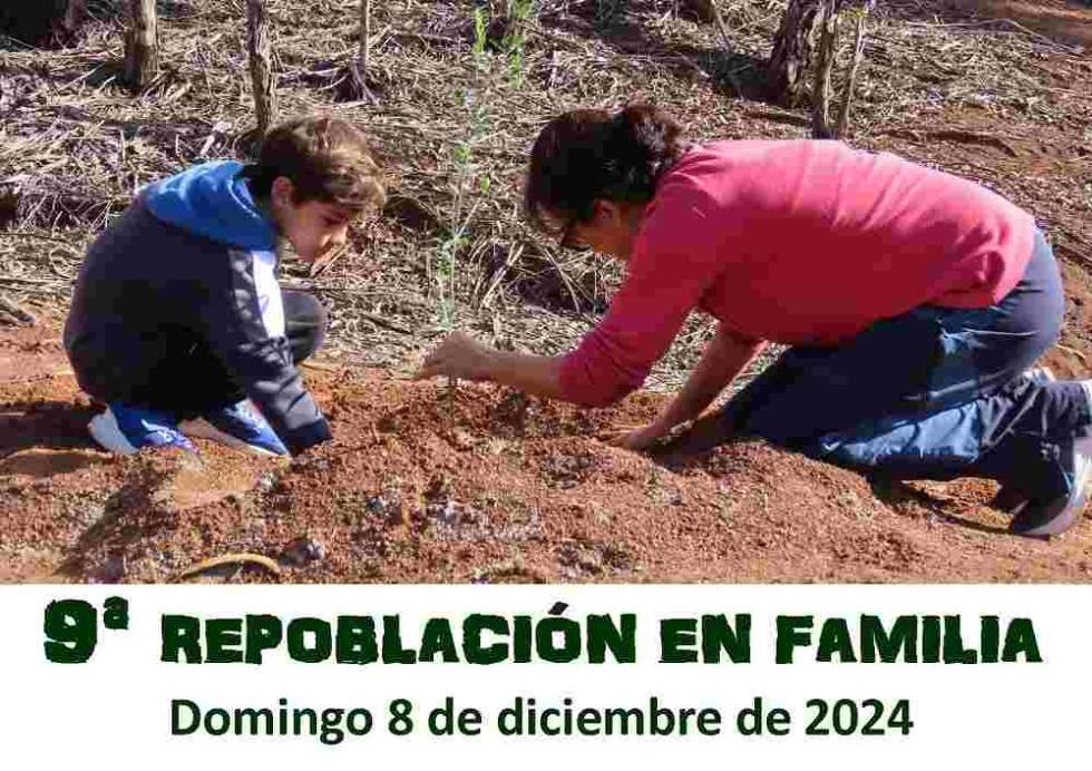 Cartel de la actividad