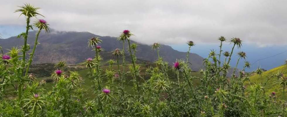 Foto: Ignacio A. Roque Lugo