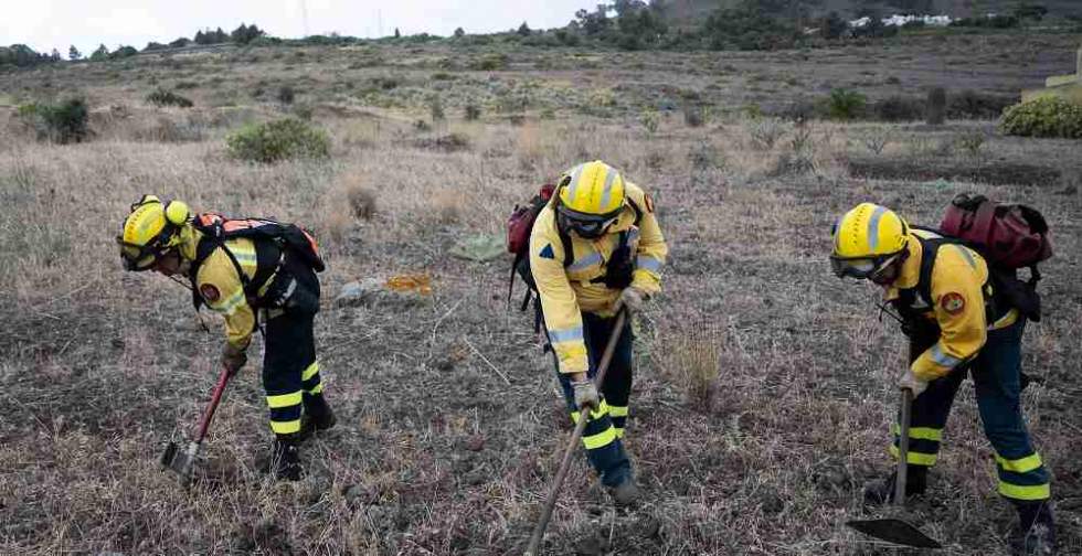 Simulacro de incendio forestal