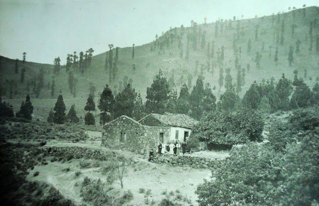 Tamadaba años treinta del pasado siglo.