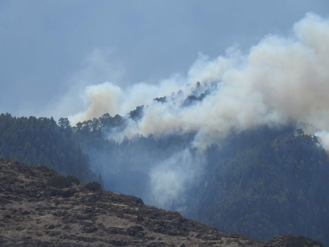 Fuego de Tamadaba 2019