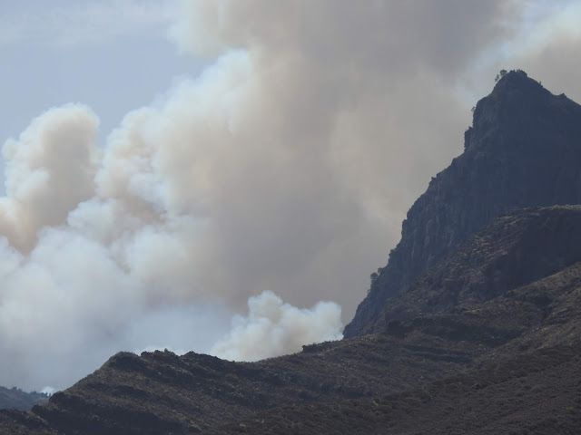 Fuego de Tamadaba 2019