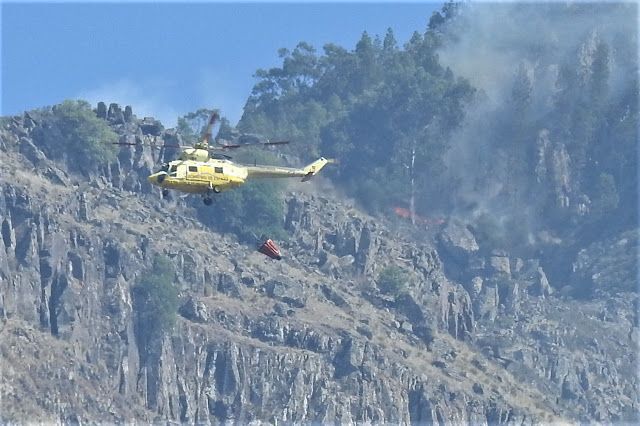 Fuego de Tamadaba 2019