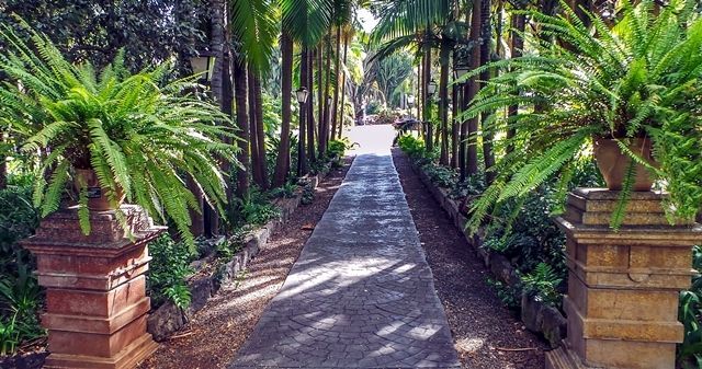 JARDIN1