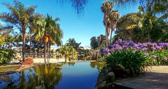 JARDIN3
