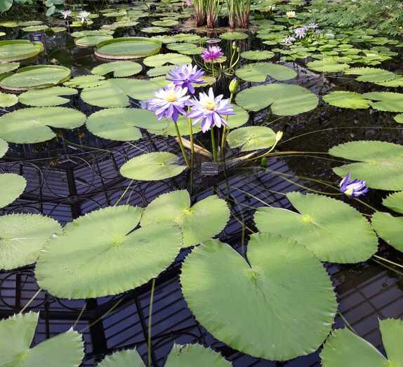 0208f819 08bd 4a71 a2c3 800e1de4384e