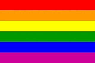 BANDERA LGTBI