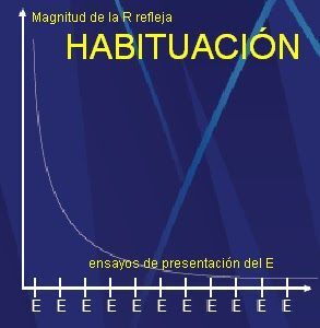 habituacion