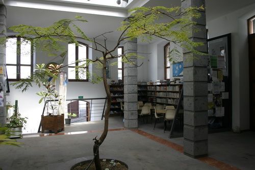 biblioteca agaete1