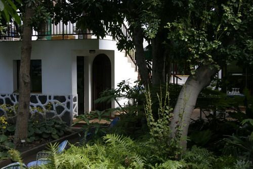huerto de las flores2