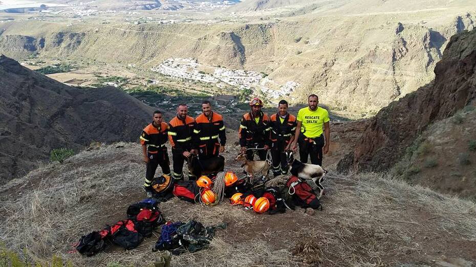 12079132 431129427079310 7090734708437393545 n