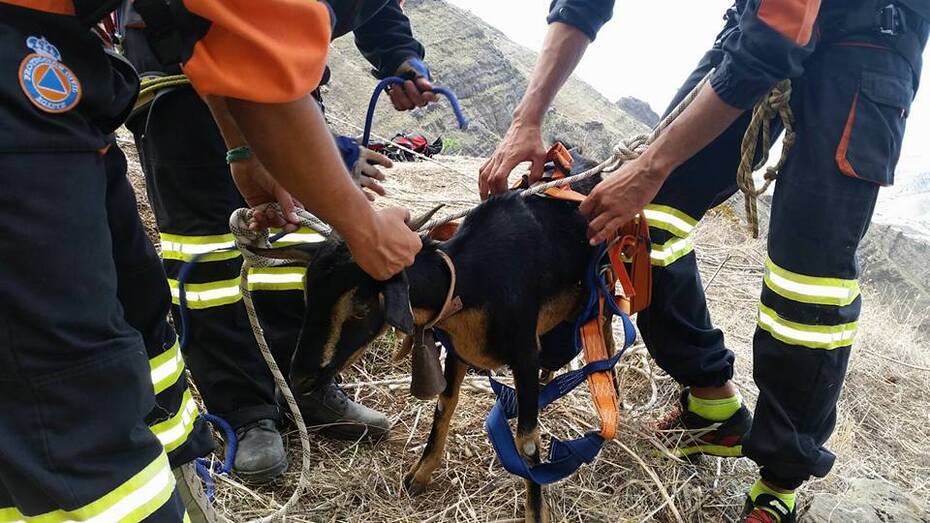 12108154 431129443745975 1748185958568653886 n