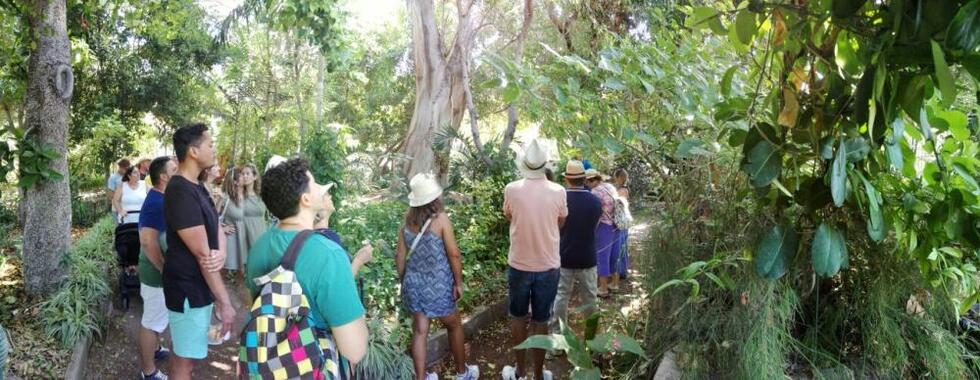 Identidad Huerto Flores