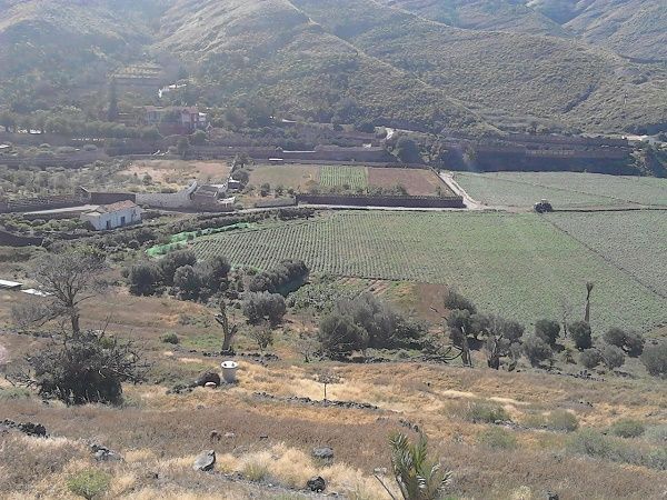 agrario
