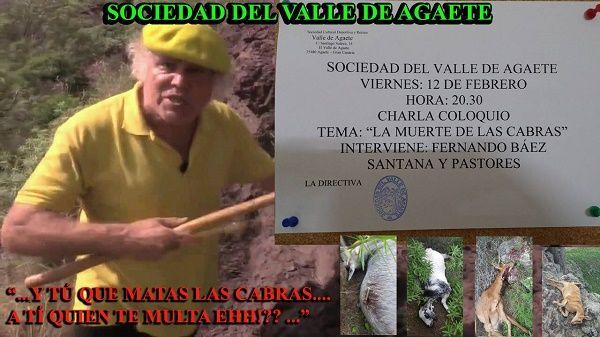 baez valle