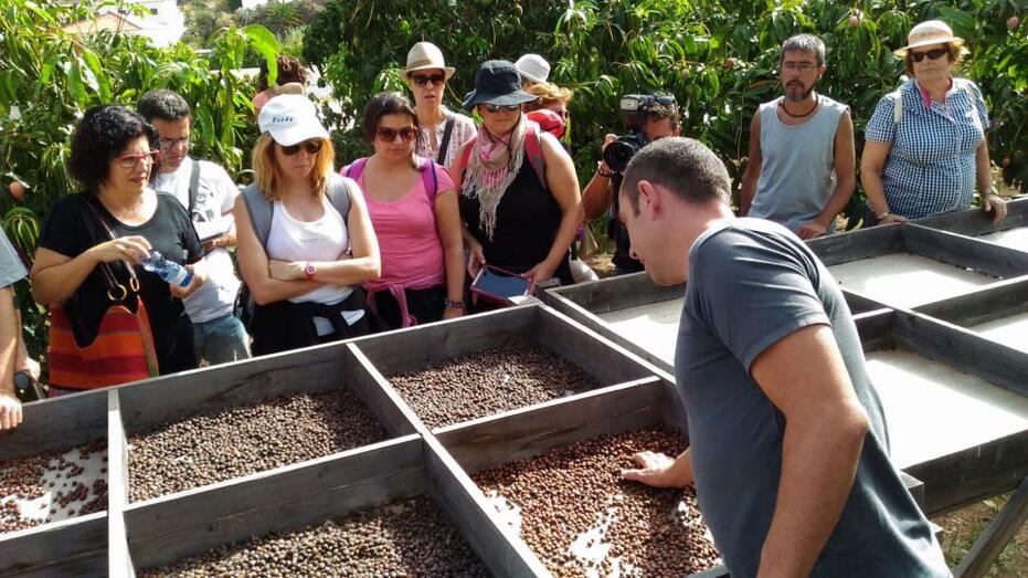 cafedelValle1
