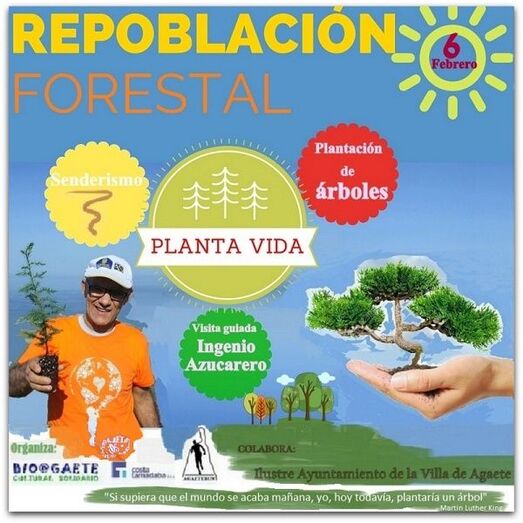 forestal