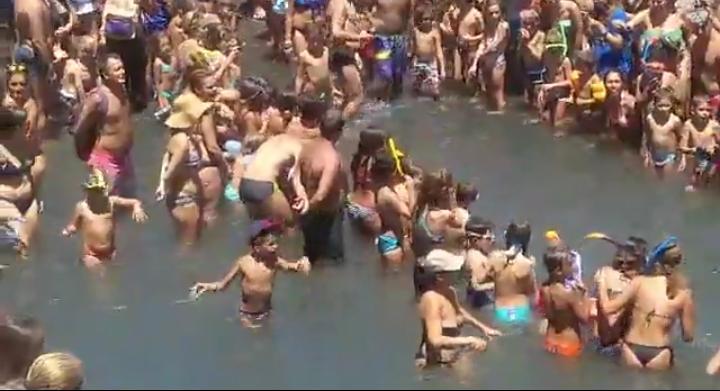 sueltatortugas201701