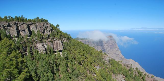 Tamadaba zona Risco Fanequedanielgonzalez