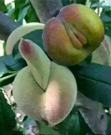 a5d086de 731c 450e b23a a896f7ee0e15