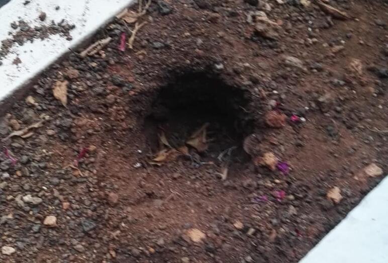 190610 destrozos jardines plaza fernando egea 9