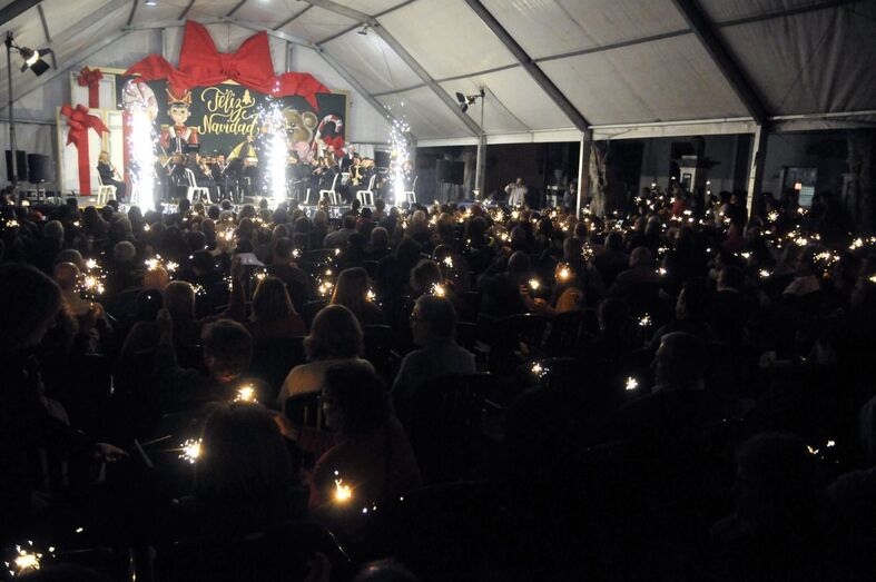 200101 concierto ano nuevo 2