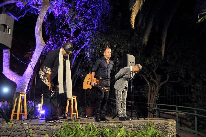 concierto swingstar 5