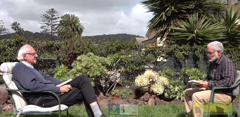 Captura de pantalla de 2022 01 22 02 40 31davidgramwell01