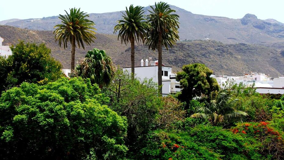 miniatrua vido 2 agete dividido NO copia