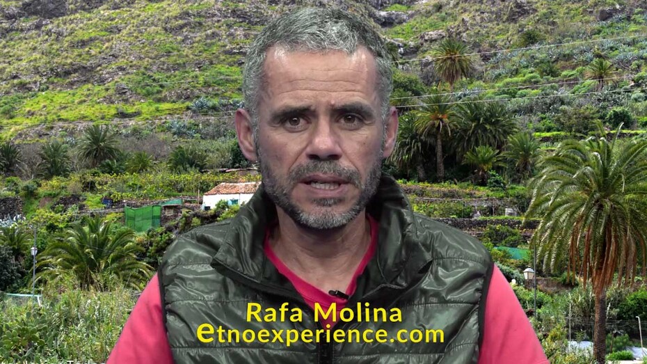 miniatura rafa molina copia