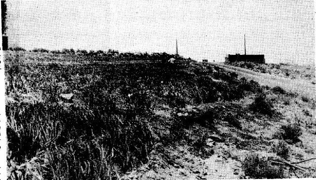 Campo de cebollas, lugar del supuesto aterrizaje, al lado de la antigua carretera general del norte, fotografía en la prensa de la época, El Eco de Canarias, 26 de junio de 1976.