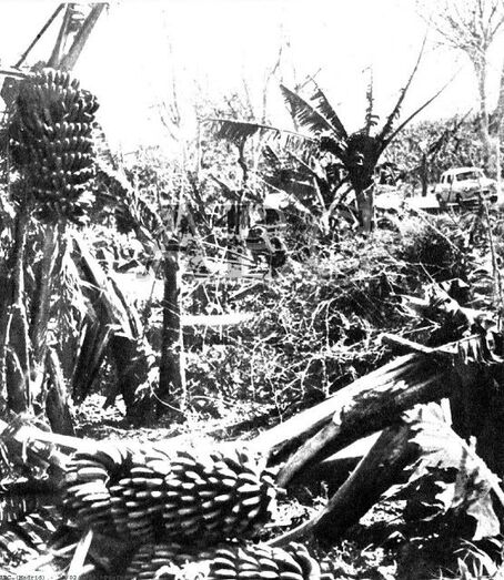 ABC, 20 de febrero de 1958.