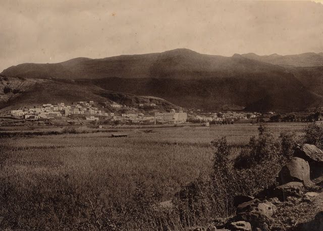 Agaete a finales del siglo XIX, todo plantado de caña de azúcar. (FEDAC)