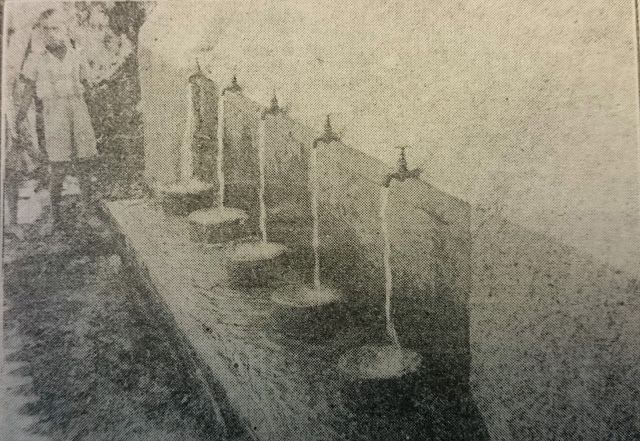 La fuente que se colocó a la entrada de la barriada (diario la Falange de 22-06-1951).