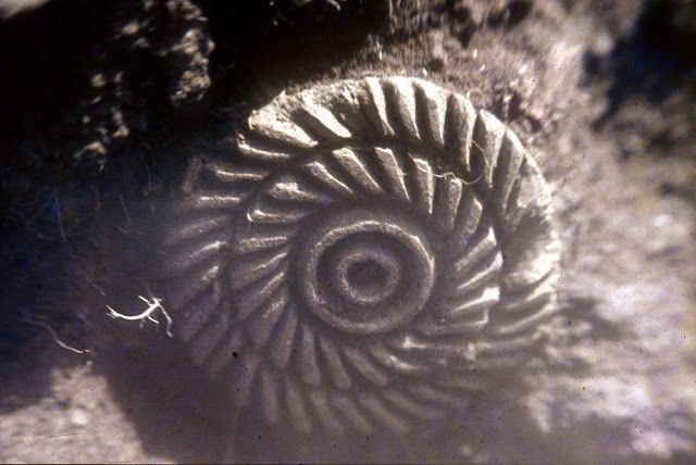 Pintadera encontrada en el yacimiento de Altabaca, Guayedra. Foto tomada en el momento de su descubrimiento,