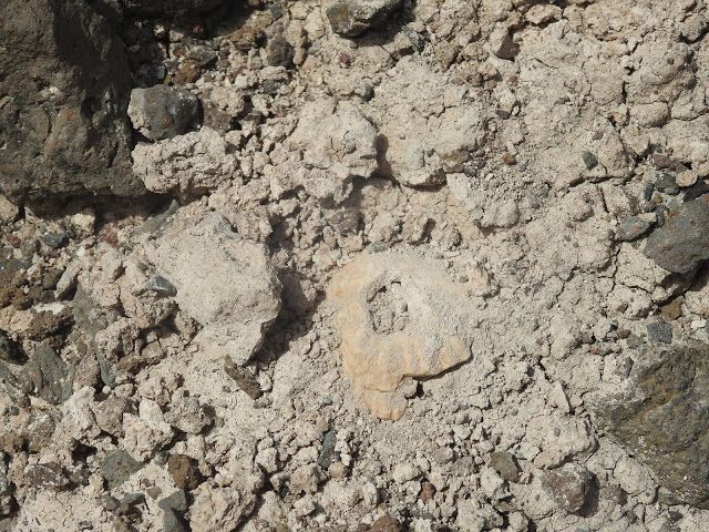  EL TSUNAMI DE AGAETE