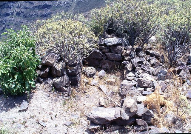  EL AGAETE PREHISPÁNICO