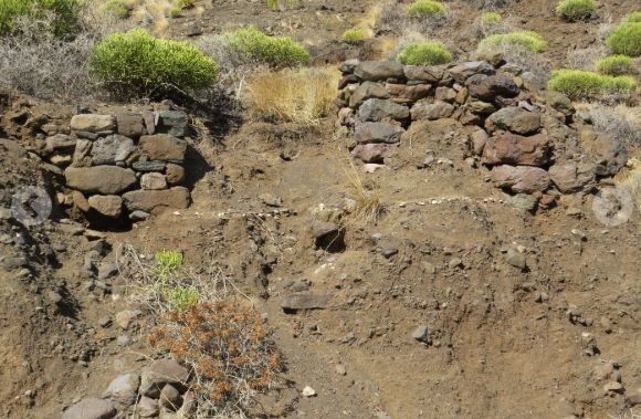 Lomo los Canarios, El Risco.
