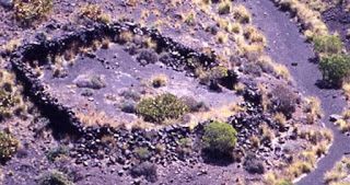  EL AGAETE PREHISPÁNICO